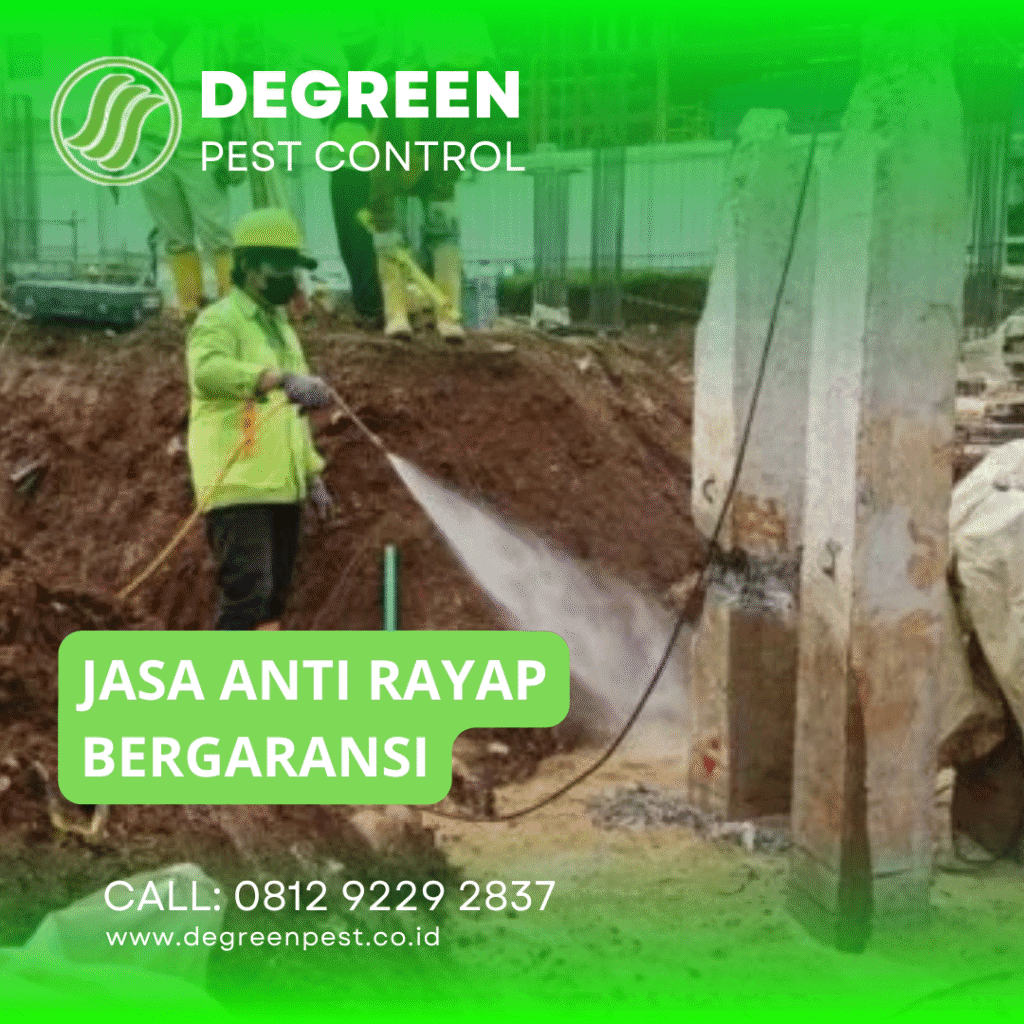 Jasa Basmi Rayap di Jakarta Timur Ada Garansinya