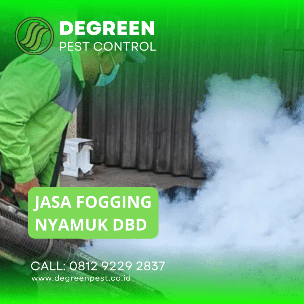 Jasa Fogging DBD di Tangerang Basmi Tuntas Nyamuk