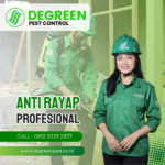 Pembasmi Rayap No. 1 di Tangerang – Metode Injeksi & Umpan Termite