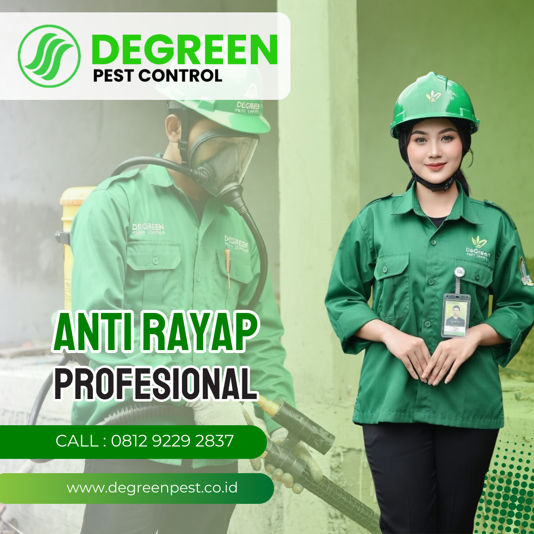 Jasa Anti Rayap Tangerang Selatan & Kota - Garansi Hingga 5 Tahun