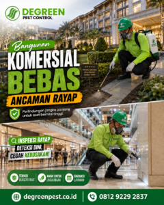 Jasa Anti Rayap Terbaik Jakarta Utara