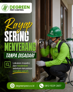 Jasa Anti Rayap Terbaik Tangerang
